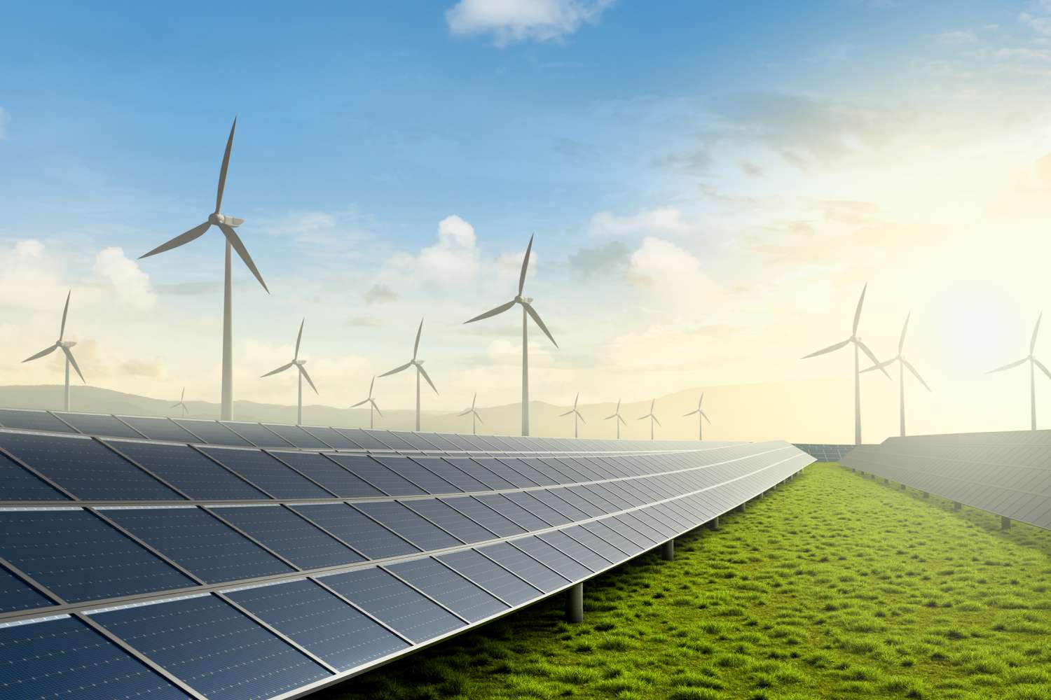 Renewable Energy Industry